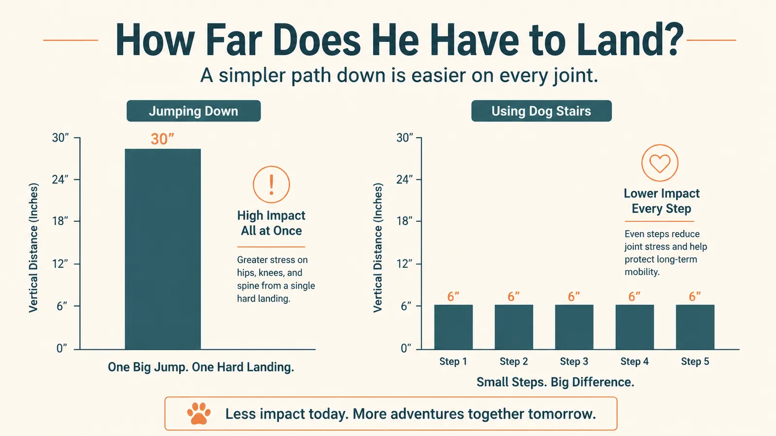 Simple chart comparing jump height impact on a dog's joints versus using dog stairs with even steps