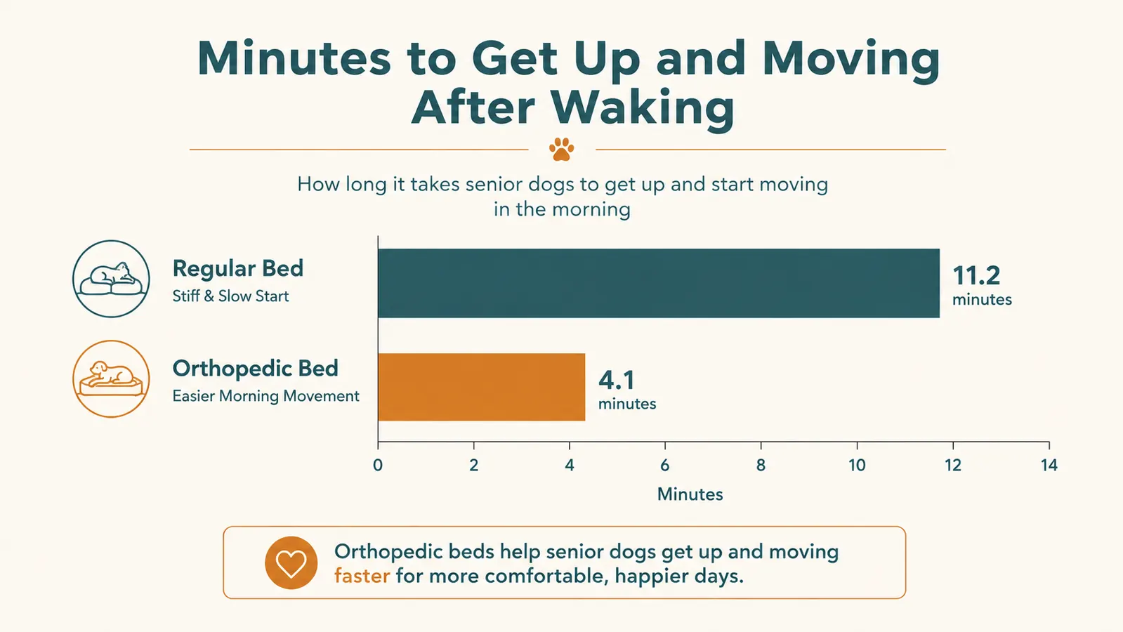 Simple chart comparing how long it takes a senior dog to get up and moving, regular bed versus orthopedic bed