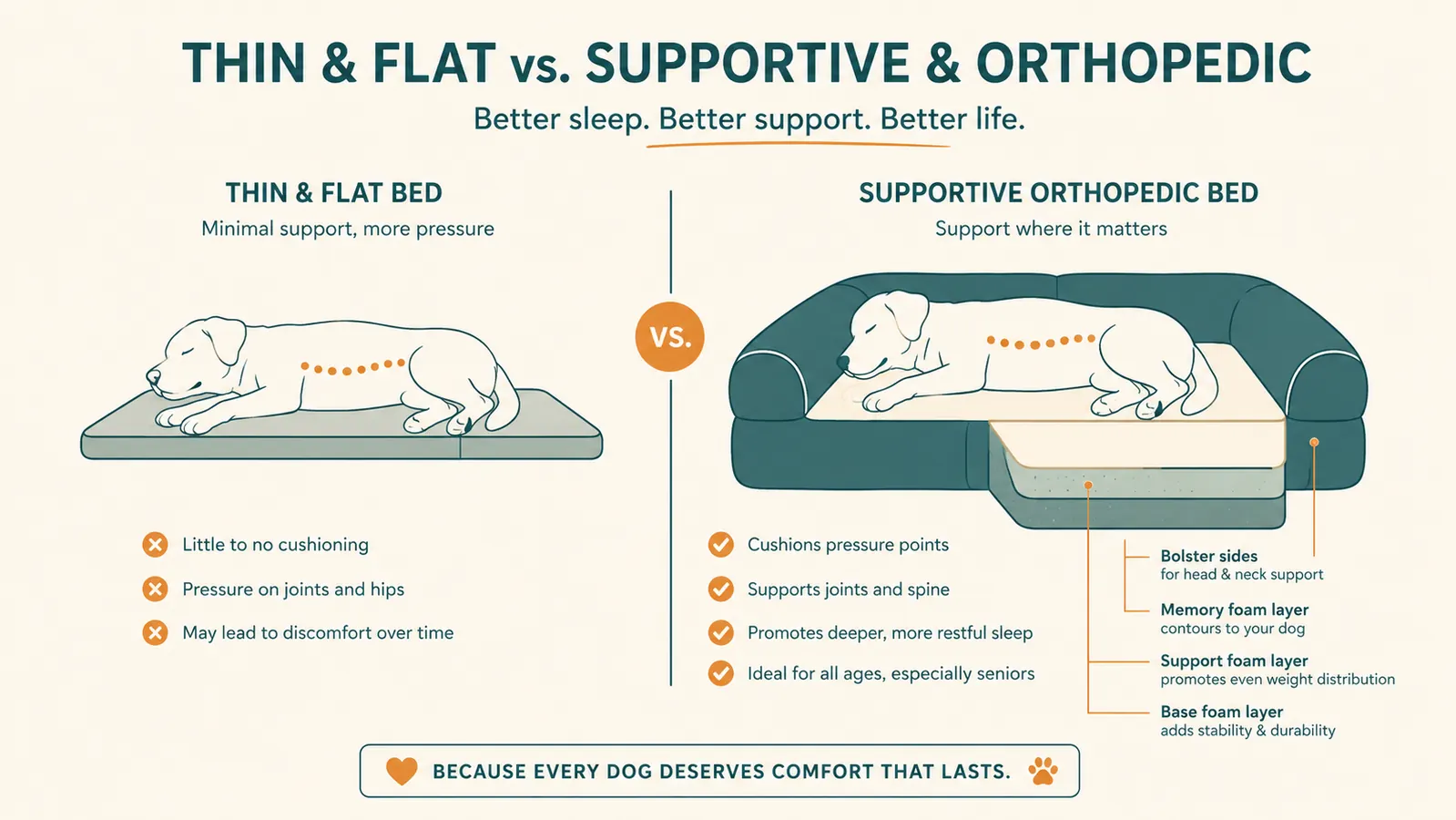 Simple diagram comparing a flat thin dog bed to a supportive orthopedic bed with labeled foam layers and bolster sides
