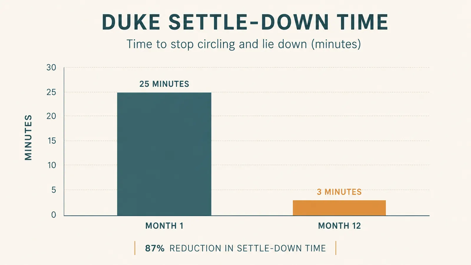 Simple bar chart comparing how long it takes Duke to settle down and stop circling before lying down, month 1 versus month 12